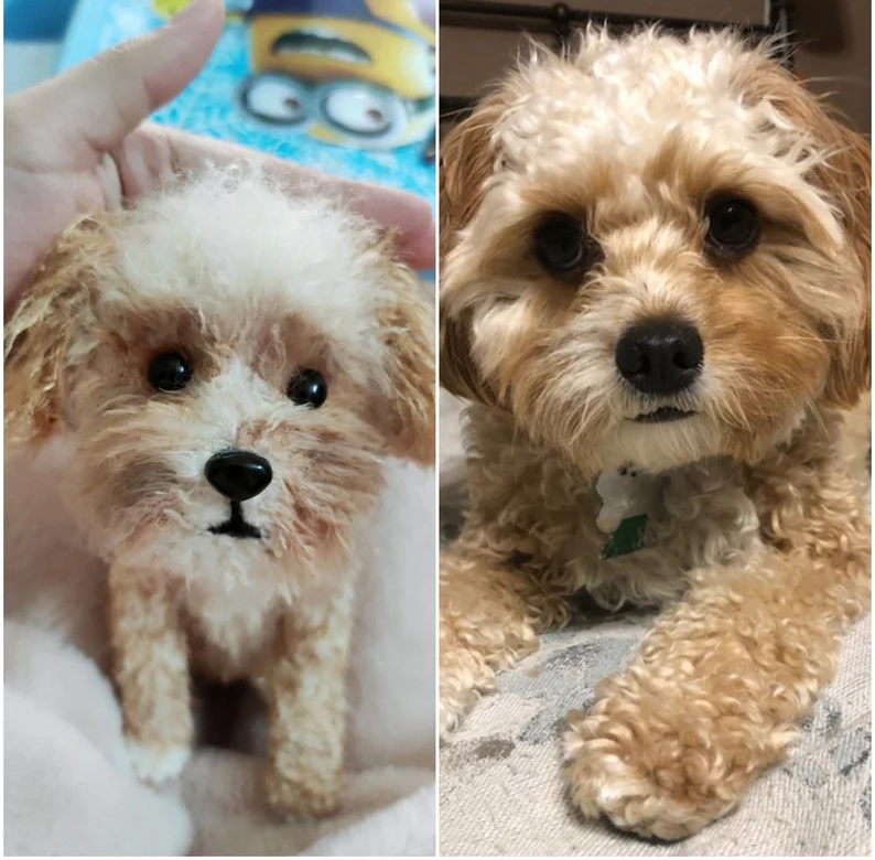 Tranquil® - Custom Pet Crochet