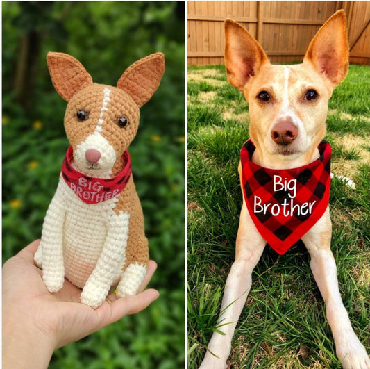 Tranquil® - Custom Pet Crochet